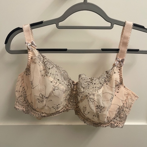 Fit Fully Yours Lingerie: Cloud Pink Nicole Sheer Lace Bra (US 34G) - Picture 3 of 8